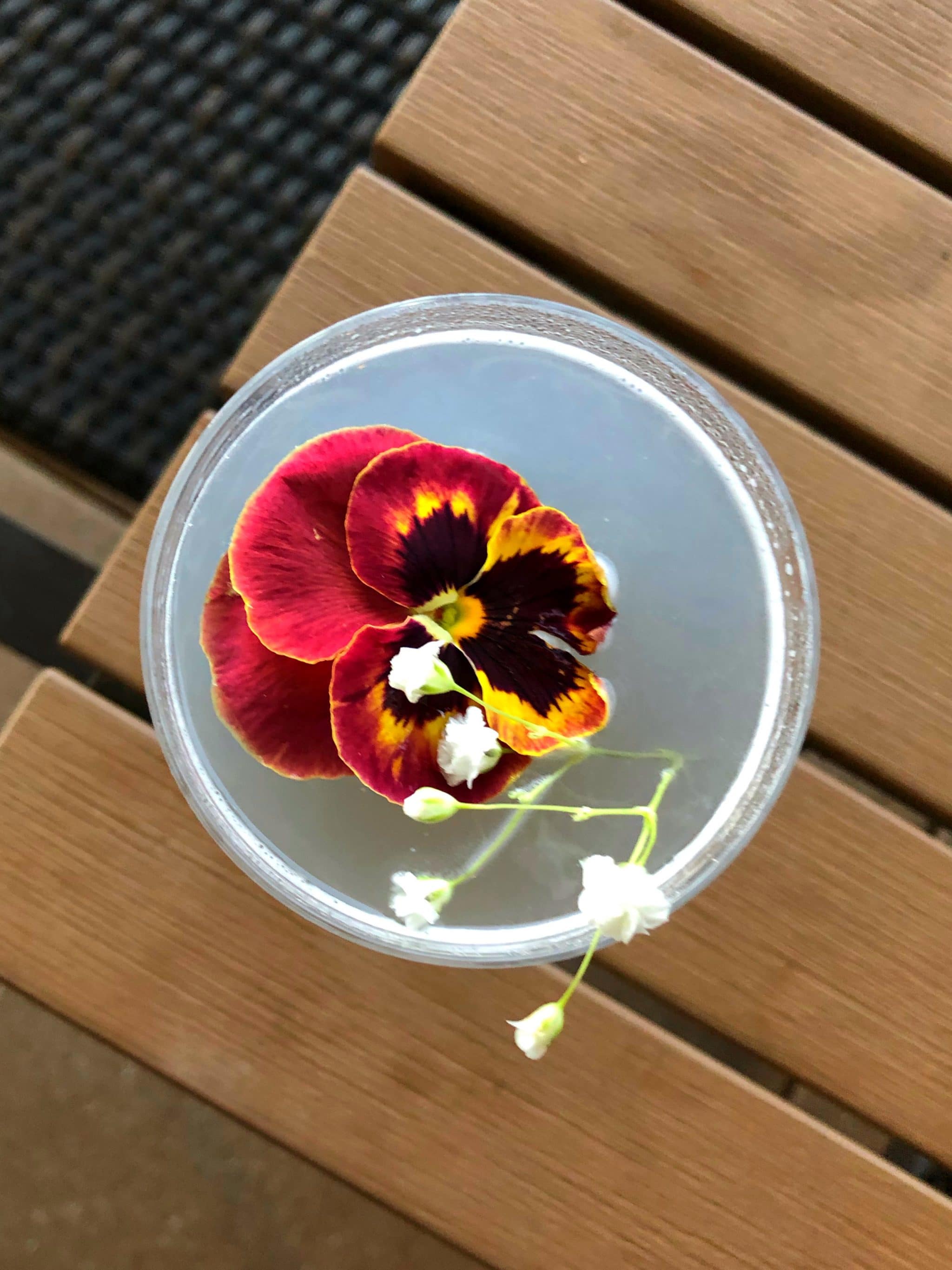 Food & Wine Weekends Vegan Options at Waldorf Orlando and Hilton Bonnet Creek in Walt Disney World