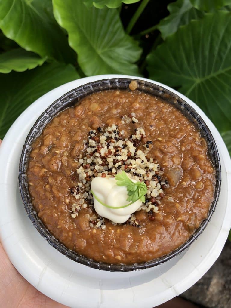 Spicy Ethiopian Red Lentil Stew at the Epcot International Food and Wine Festival in Walt Disney World