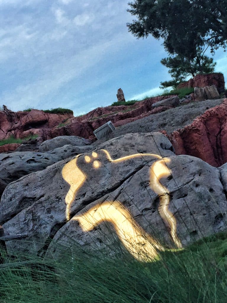 Mickey's Not-So-Scary Halloween Party is definitely worth spending the money on. There are a limited amount of tickets sold each night so crowds are generally lower than they would be during normal park hours. My tip is to go to one of the parties earlier on. The closer you get to Halloween, the more congested the parties become. Guests of all ages are welcome to dress in costume. See Disney's website for the rules on costumes.