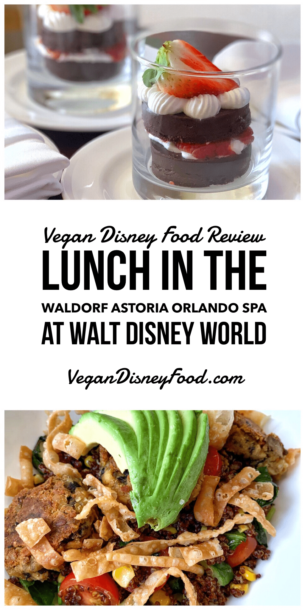 Vegan Disney Food Review: Lunch in the Waldorf Astoria Orlando Spa at Walt Disney World