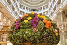 Vegan Disney Food Review: Dinner at Citricos in the Grand Floridian Resort