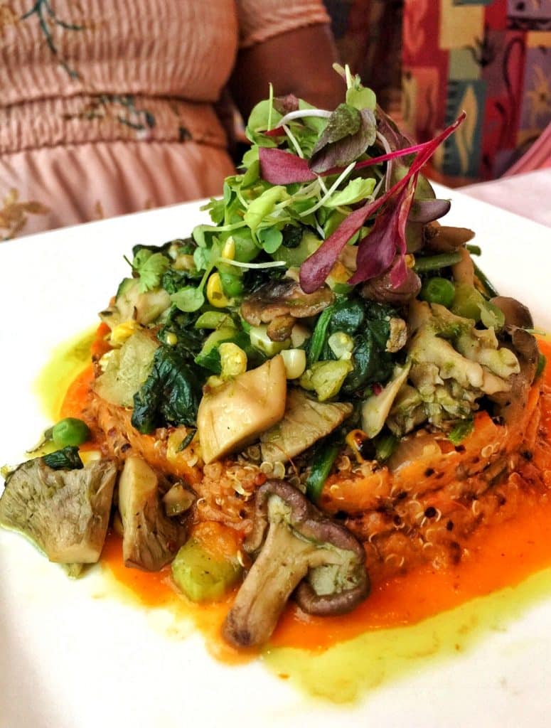 Vegan Disney Food Review: Dinner at Citricos in the Grand Floridian Resort