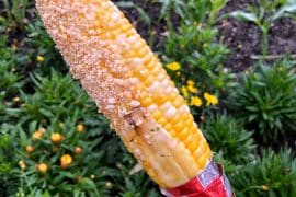 Vegan Grilled Street Corn