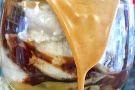 Vegan Walt Disney World - Beaches & Cream Soda Shop - No Way Jose Ice Cream Sundae