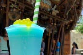 Vegan at Walt Disney World - Mo’ara Margarita from Pongu Pongu in Pandora at Disney’s Animal Kingdom