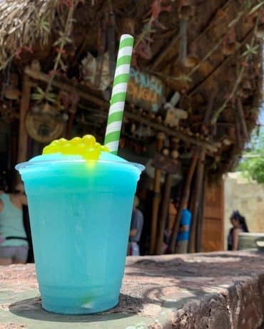 Vegan at Walt Disney World - Mo’ara Margarita from Pongu Pongu in Pandora at Disney’s Animal Kingdom