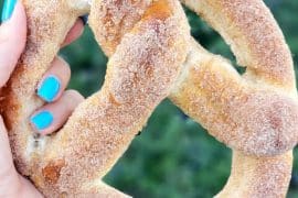 Vegan at Disneyland - Cinnamon Sugar Pretzel