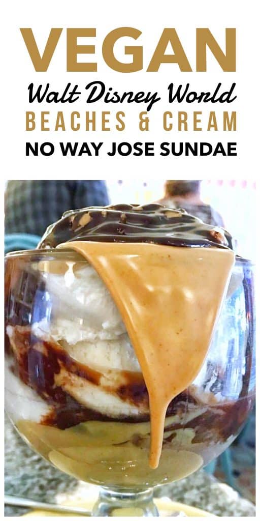 Vegan Walt Disney World - Beaches & Cream Soda Shop No Way Jose Vegan Ice Cream Sundae