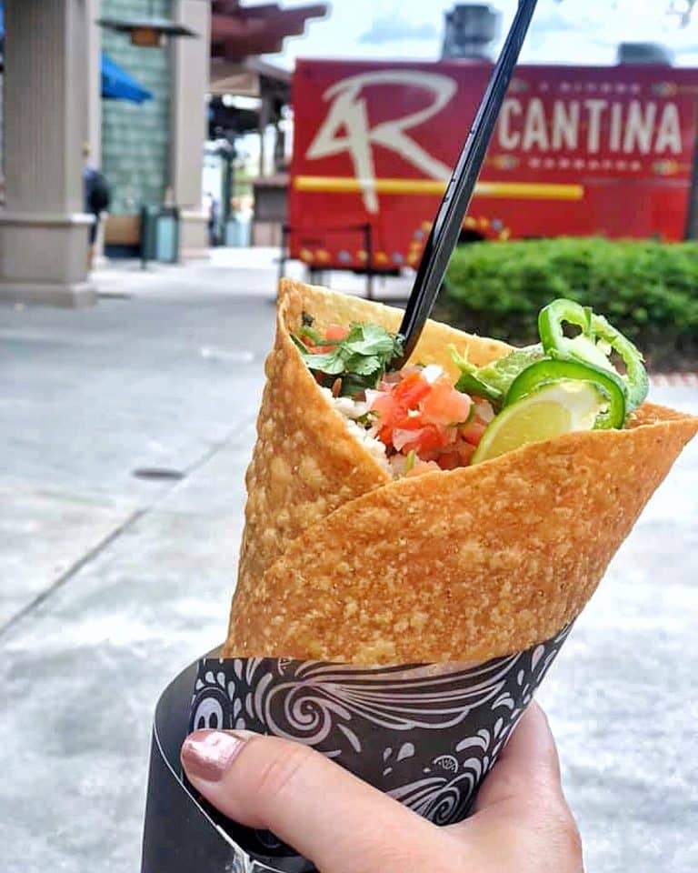 Vegan at Walt Disney World - Taco Cone at 4 Rivers Cantina Food Truck in Disney Springs