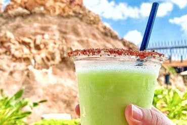 Vegan at Walt Disney World - Lime Dole Whip Margarita at the Polynesian Village Resort