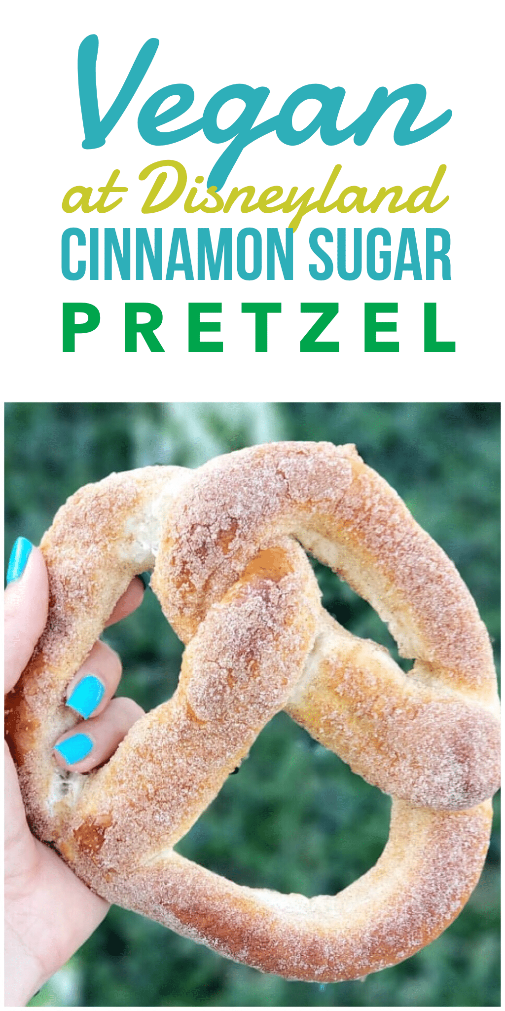 Vegan Snack Option at Disneyland - Cinnamon Sugar Pretzel