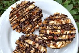 Vegan Fruit and Nut Energy Snack at the Epcot International Food and Wine Festival