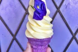 Vegan at Walt Disney World - The Lost Princess Cone in the Magic Kingdom