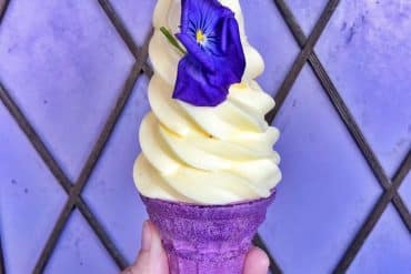 Vegan at Walt Disney World - The Lost Princess Cone in the Magic Kingdom