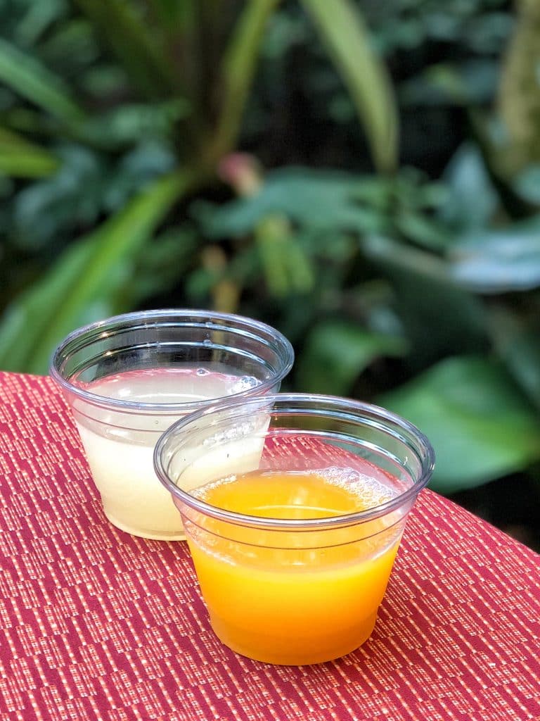 What’s Vegan at Circle of Flavors: Harambe at Night in Animal Kingdom?