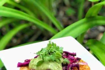 Vegan Options at the Epcot International Food and Wine Festival - Modified Tostada from Coastal Eats