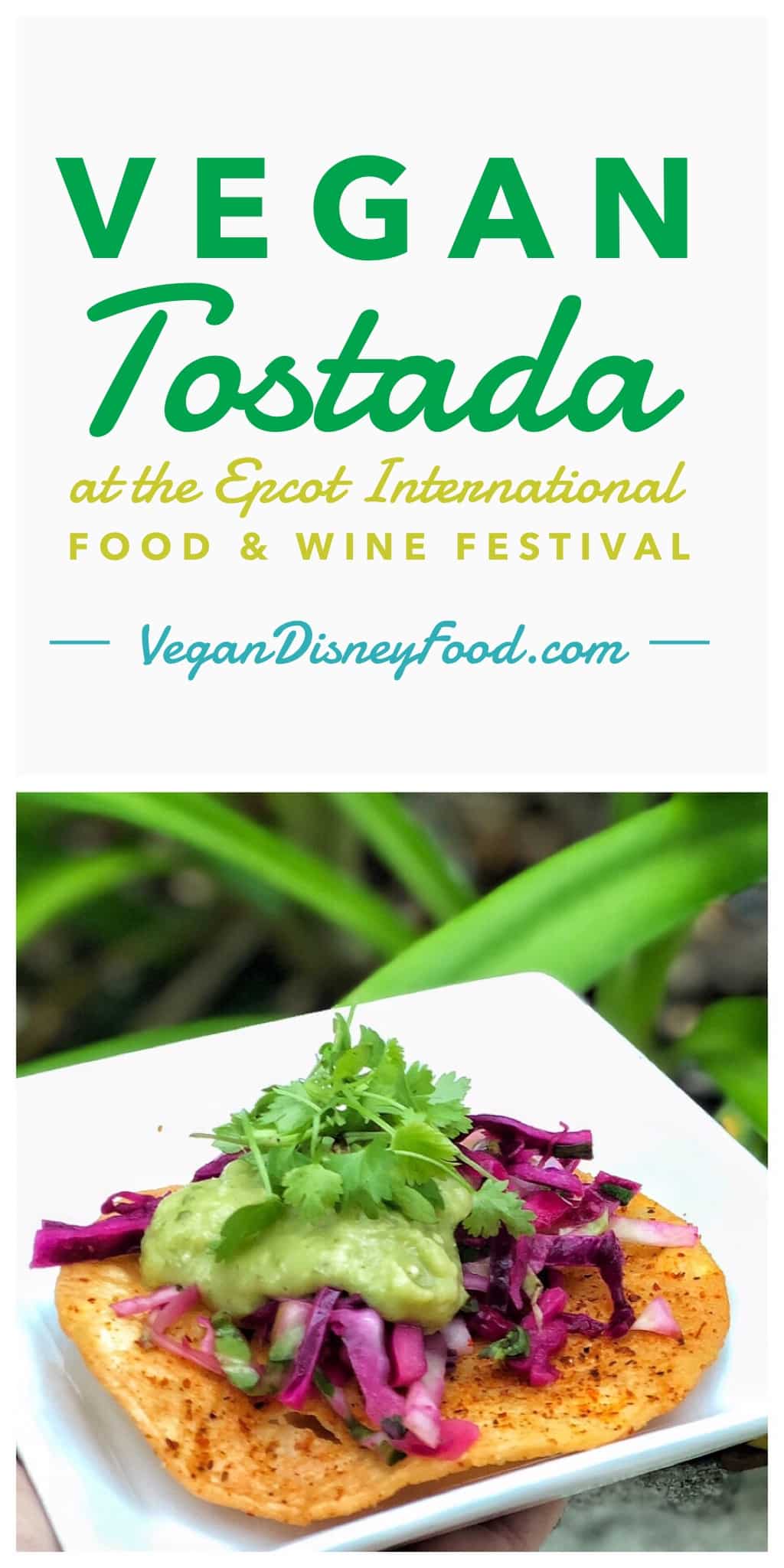 Vegan Tostada at the 2019 Epcot International Food and Wine Festival at Walt Disney World