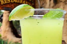 Vegan in Disneyland - Honeydew Agua Fresca at Rancho del Zocalo