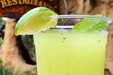 Vegan in Disneyland - Honeydew Agua Fresca at Rancho del Zocalo