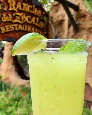 Vegan in Disneyland - Honeydew Agua Fresca at Rancho del Zocalo