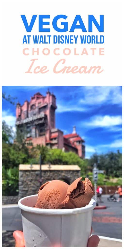 Vegan at Walt Disney World - Vegan Ice Cream in Disney’s Hollywood Studios