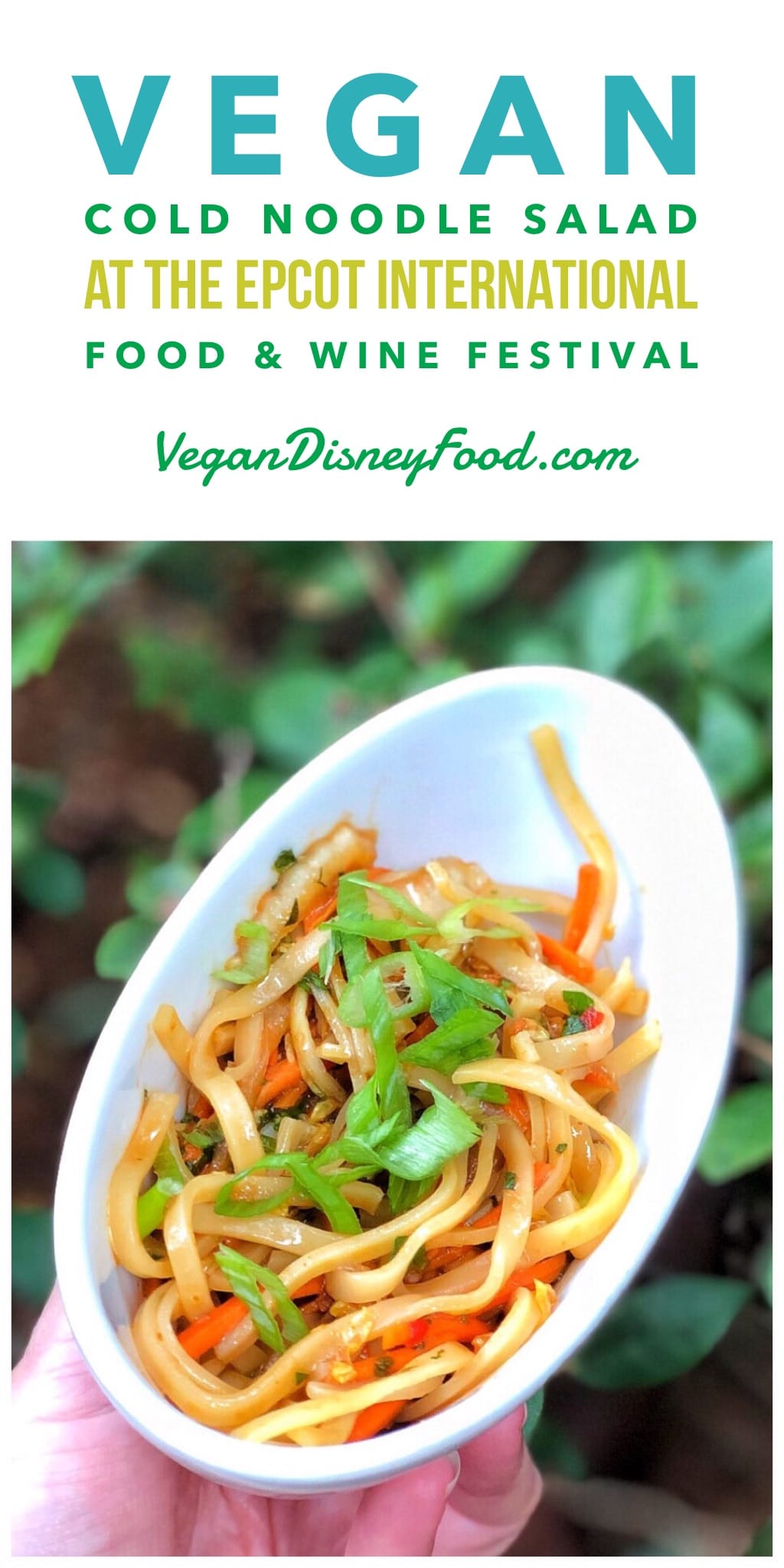 Vegan Cold Noodle Salad at the 2019 Epcot Food and Wine Festival at Walt Disney World