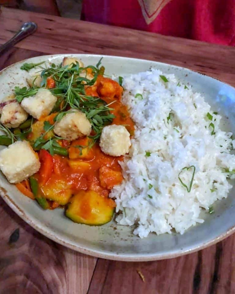 Vegan at Walt Disney World - Curried Vegetable Crew Stew in the Magic Kingdom