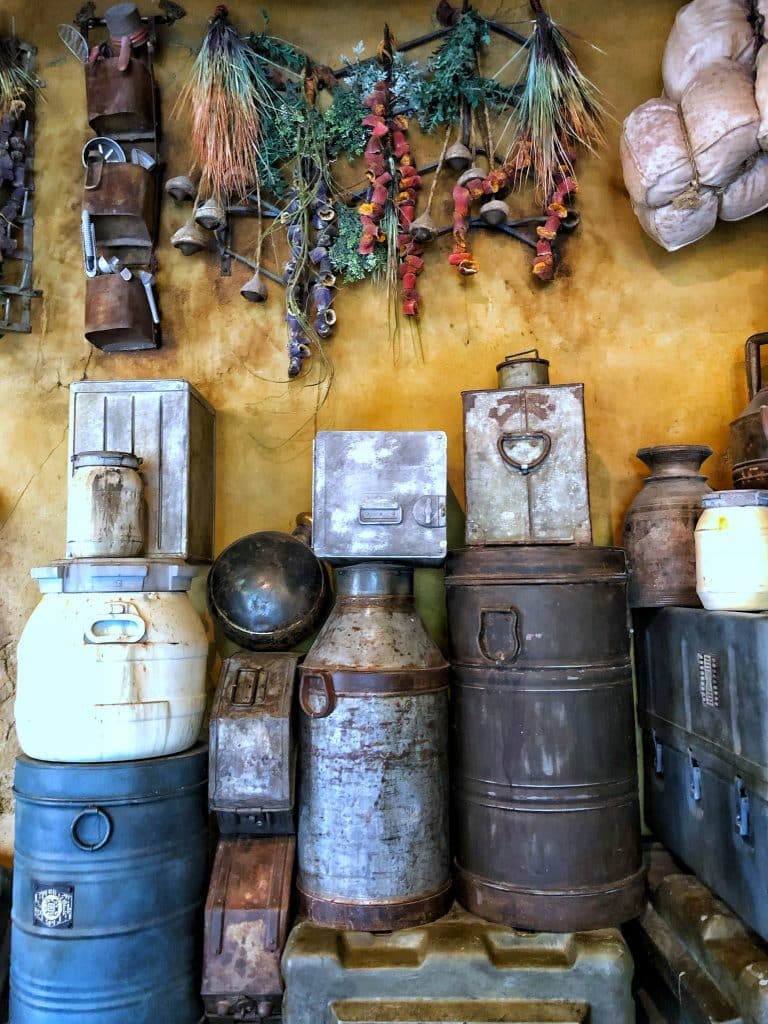 What’s Vegan at Disney’s Star Wars: Galaxy’s Edge? - Kat Saka’s Kettle