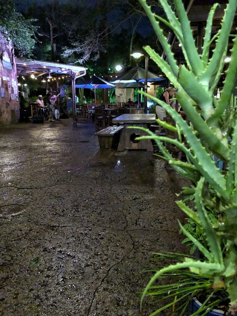 What’s Vegan at Circle of Flavors: Harambe at Night in Animal Kingdom at Walt Disney World?