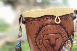 Vegan at Walt Disney World - Lion King Popcorn Bucket in Animal Kingdom
