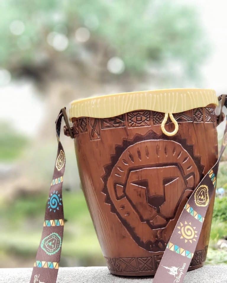 Vegan at Walt Disney World - Lion King Popcorn Bucket in Animal Kingdom