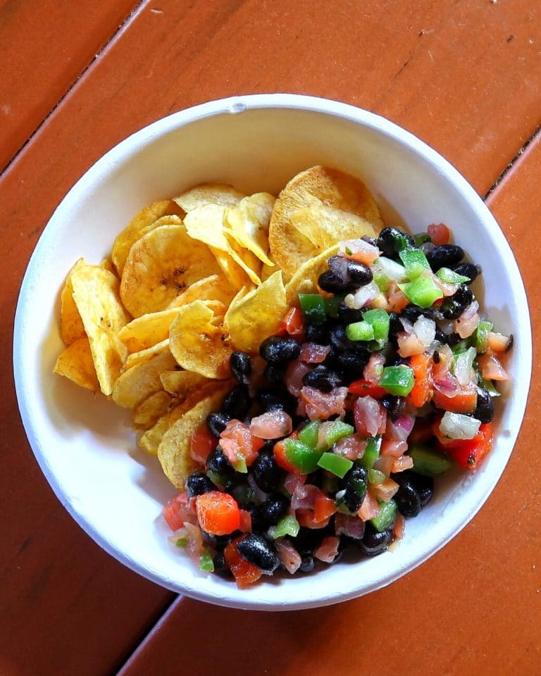 Vegan Plantain Chips with Black Bean Salsa in the Magic Kingdom at Walt Disney World