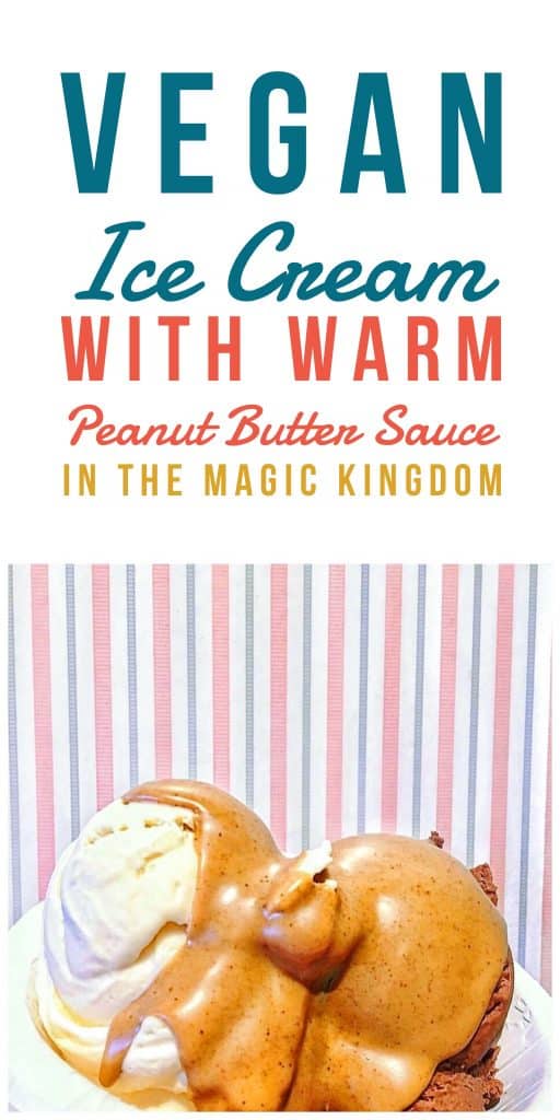 Vegan Ice Cream with Warm Peanut Butter Sauce in the Magic Kingdom at Walt Disney World