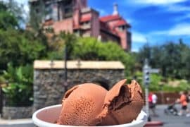 Vegan at Walt Disney World - Vegan Ice Cream in Disney’s Hollywood Studios