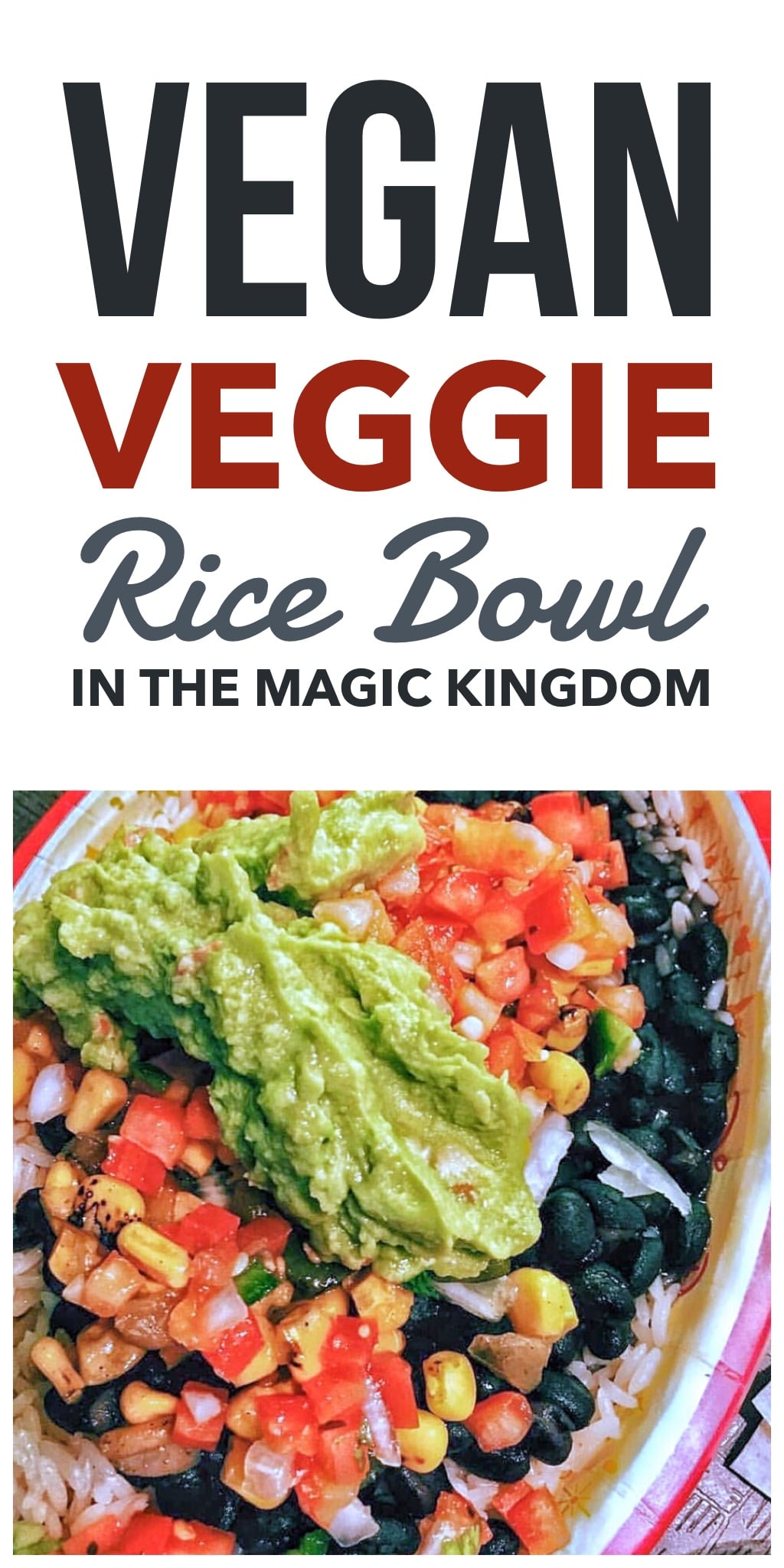 Vegan Veggie Rice Bowl at Pecos Bill Tall Tale Inn and Cafe in the Magic Kingdom