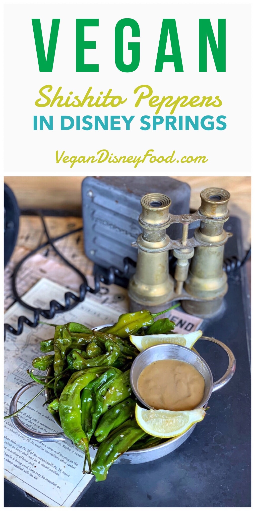 Vegan Blistered Shishito Peppers at Jock Lindsey’s Hangar Bar in Disney Springs