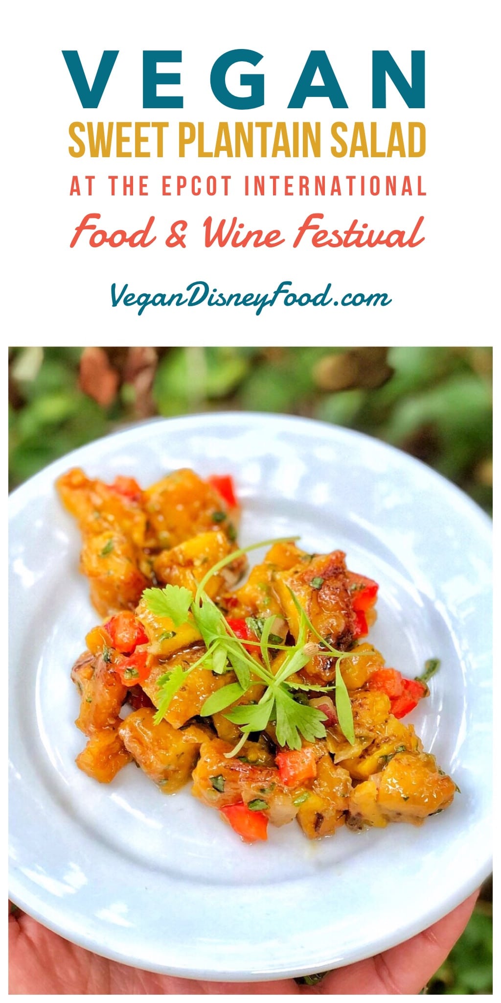 Vegan Roasted Sweet Plantain Salad at the 2019 Epcot Food and Wine Festival at Walt Disney World