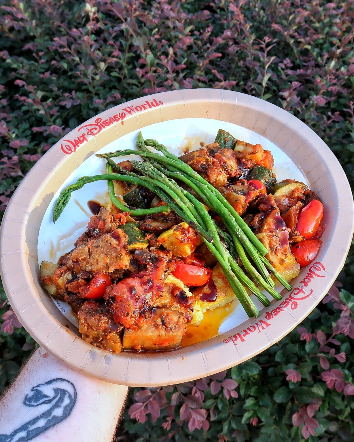 Vegan Ratatouille at All Star Music Resort in Walt Disney World