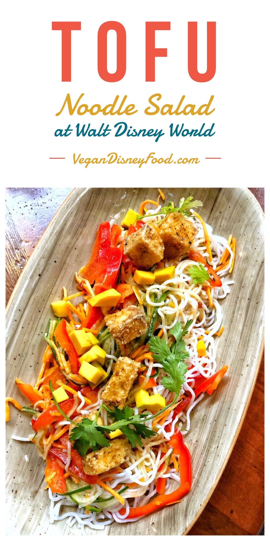 Vegan Tofu Noodle Salad at Kona Cafe in Disney’s Polynesian Village Resort at Walt Disney World