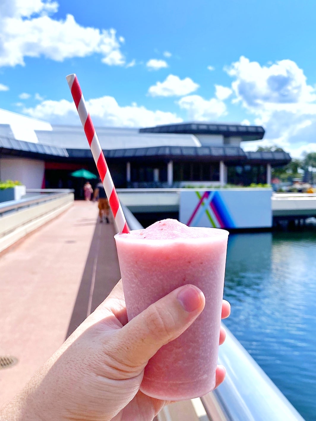 Vegan Strawberry Smoothie at the Epcot International Food and Wine Festival Donut Box at Walt Disney World