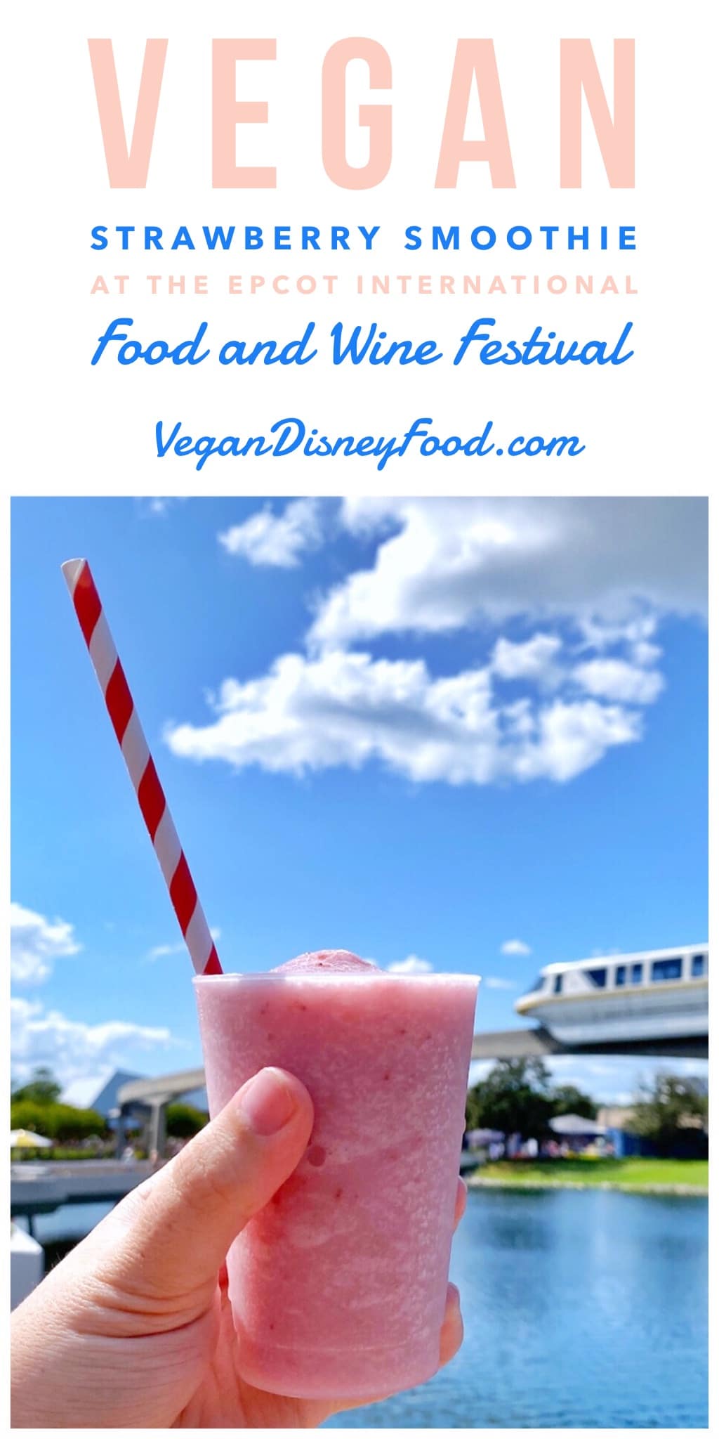 Vegan Strawberry Smoothie at the Epcot International Food and Wine Festival Donut Box at Walt Disney World