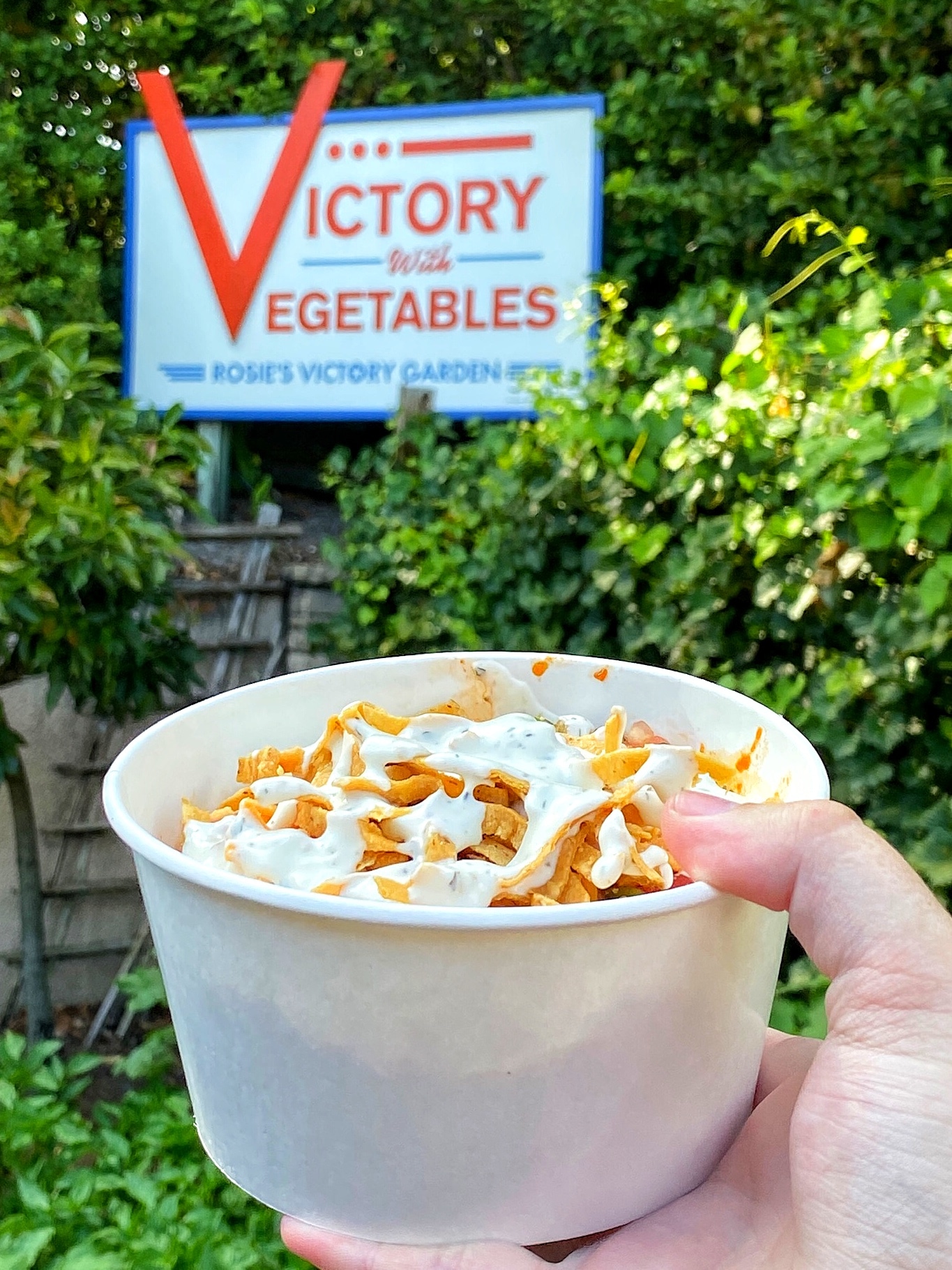 Vegan Southwest Bowl at Fairfax Fare in Disney’s Hollywood Studios at Walt Disney World