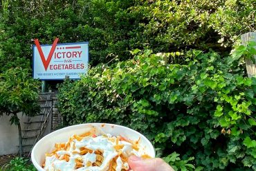 Vegan Southwest Bowl at Fairfax Fare in Disney’s Hollywood Studios at Walt Disney World