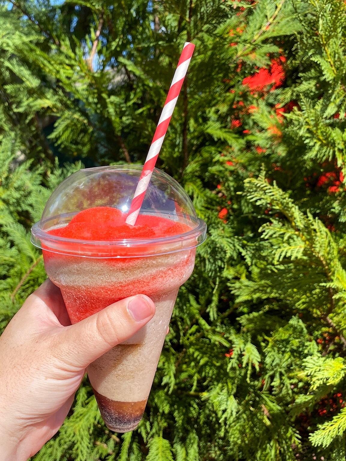 Vegan Layered Slushy at the Epcot International Food and Wine Festival Cool Wash at Walt Disney World