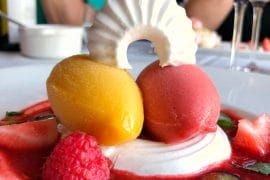 Epcot International Food and Wine Festival French Family Meal Traditions Vegan Review