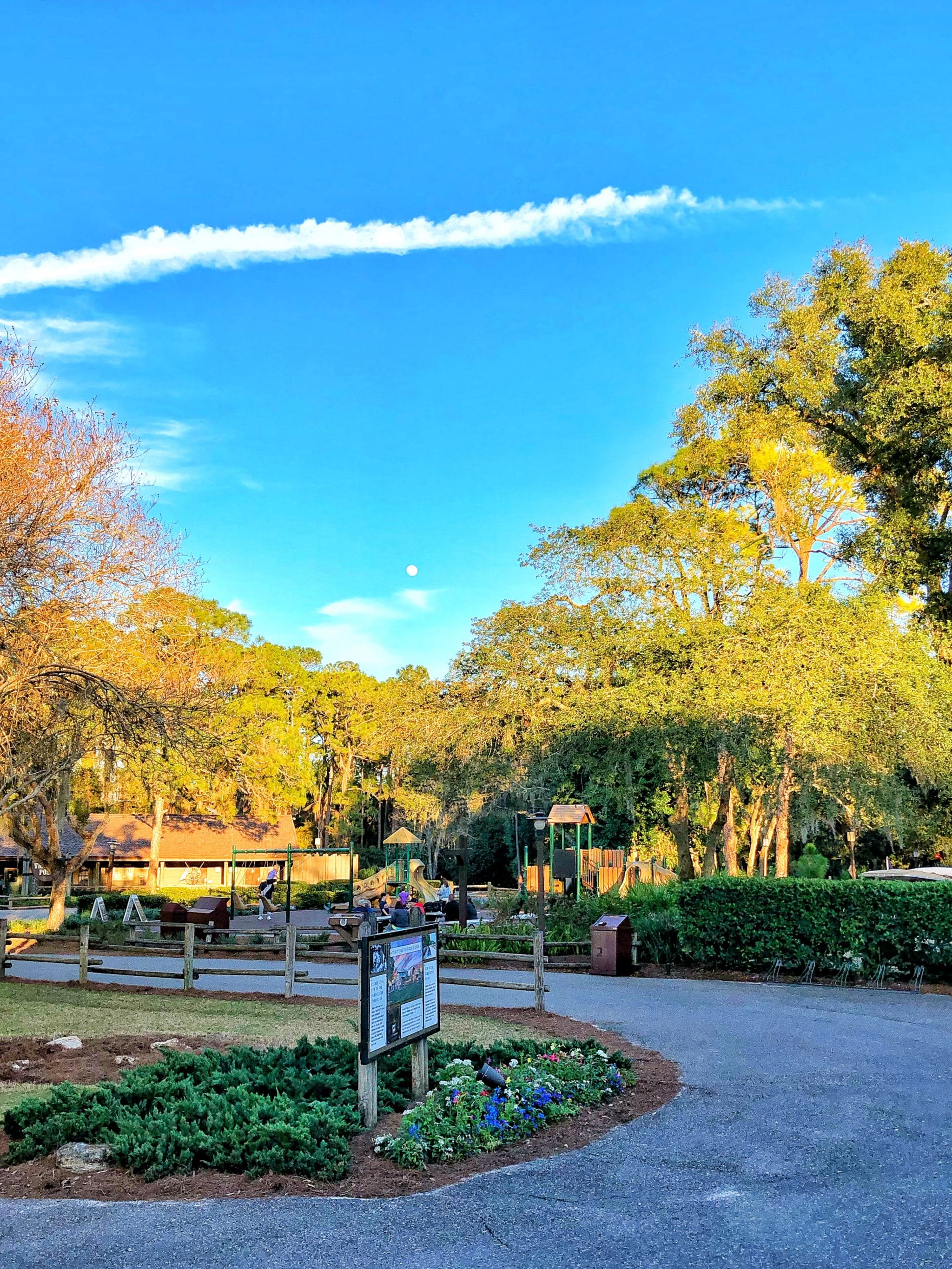 Vegan Fried Green Tomatoes at Crocket’s Tavern in Disney’s Fort Wilderness Resort and Campground at Walt Disney World