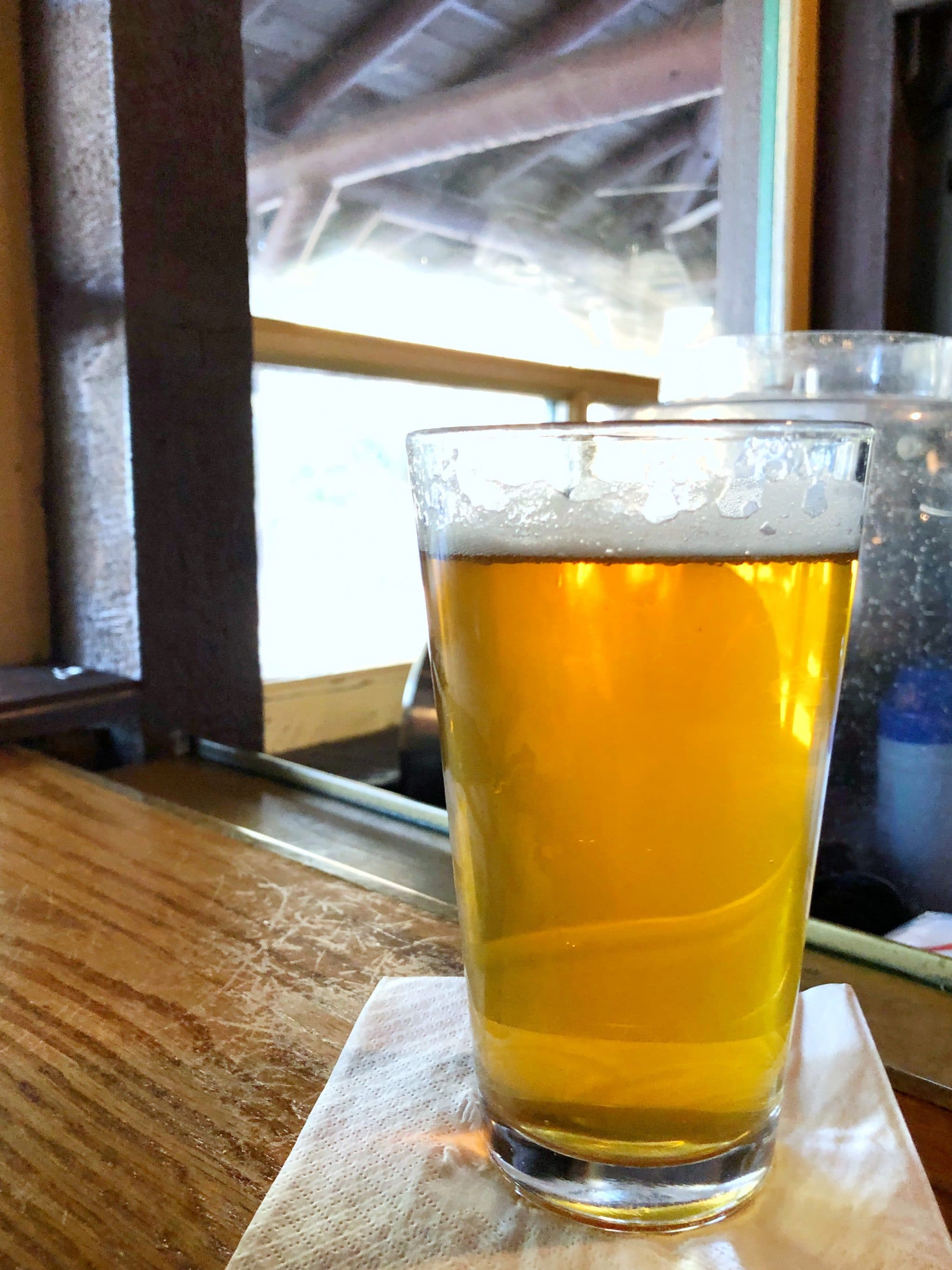 Vegan Fried Green Tomatoes at Crocket’s Tavern in Disney’s Fort Wilderness Resort and Campground at Walt Disney World
