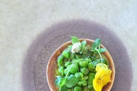 Disney Cruise Line Remy Champagne Brunch Vegan Menu Options