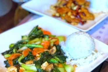 Vegan Review of Nine Dragons Restaurant in the China Pavilion at Epcot in Walt Disney World