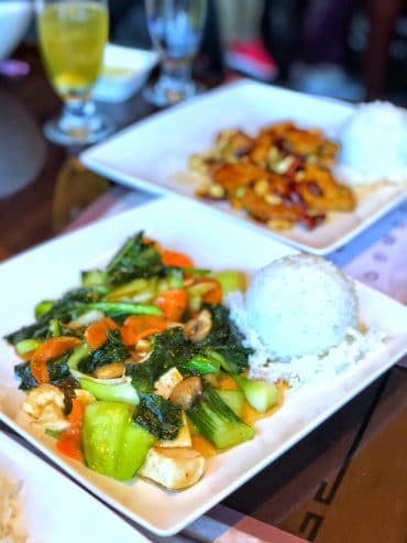 Vegan Review of Nine Dragons Restaurant in the China Pavilion at Epcot in Walt Disney World